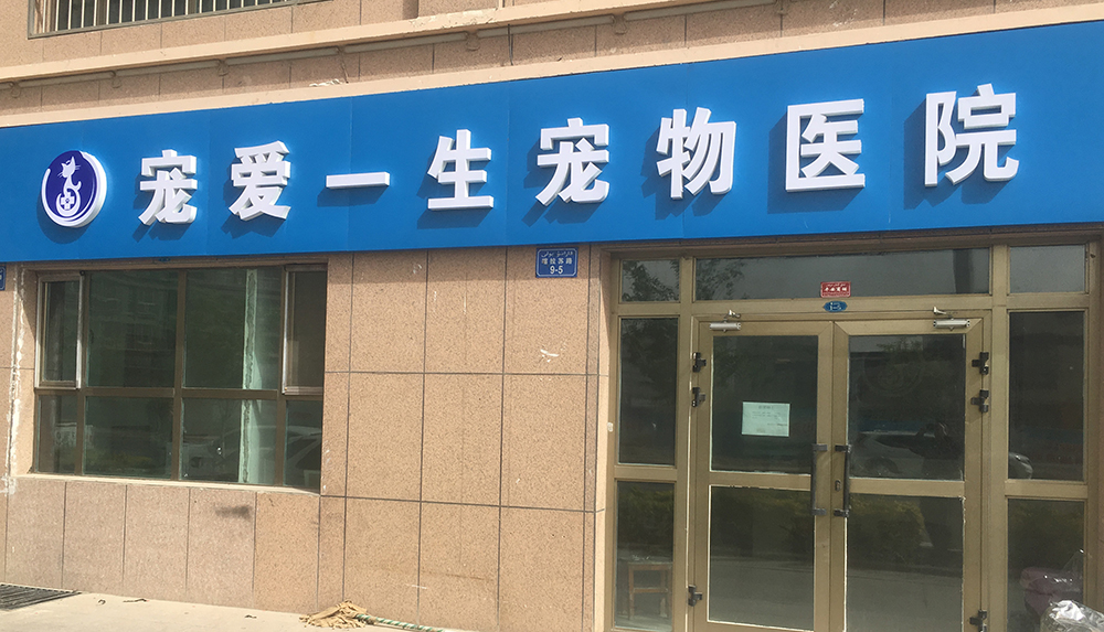 新疆庫爾勒寵愛一生寵物醫(yī)院