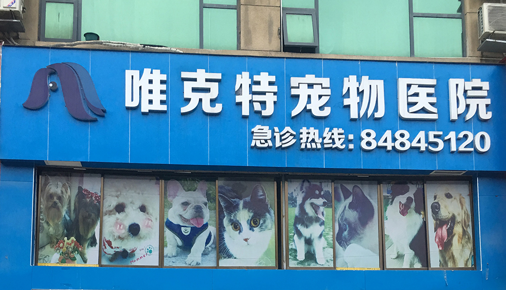 貴州貴陽唯克特寵物醫(yī)院金陽分院